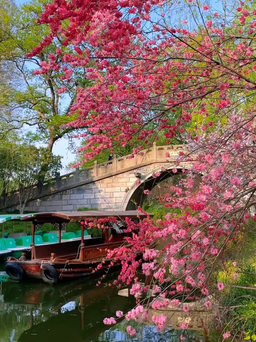 Chốn tiên cảnh Hàng Châu mùa hoa anh đào - #muahoaanhdao #hangchau #dulichhangchau #toptour #toptourtravel #dulichtoptour #dulichtrungquoc #xuhuong #xuhuongtiktok #xuhuong2024