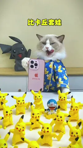 #kittygod_cn #cute #puffcorn #cats #catsoftiktok #thatlittlepuff #catlover 
