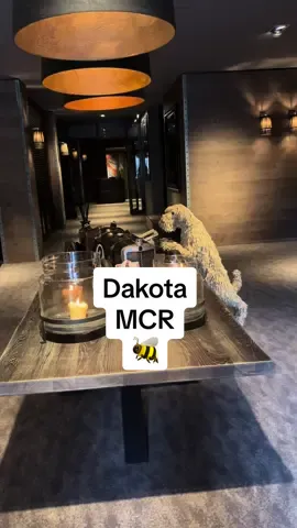 A nights stay at Dakota Manchester 🖤🐝  Such a luxurious Hotel, the bed was like sleeping on a fluffy cloud ☁️✨ #dakotamanchester #mcr #manchesterhotels #manchestercity #romanticgetaway #citybreak #cityscape #manchester #anniversarytrip #wifelife #marriedlife #wifetok 