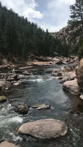 21 seconds of zen  #nature #naturevibes #naturereels #reel #reels #tiktok_reels #naturelover #naturelove #naturesbeauty #naturebeauty #zen #naturetiktok 