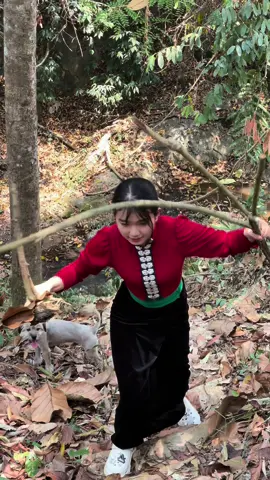 Homestay và camping em thảo biết mấy nơi, anh chị nào muốn chill thì hú em nha#ynoongdienbien #amthuctaybac #chamcheoynoong #taybac #gaithaidienbien 