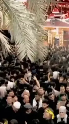 ماشفت العيد من ساعة هجرك 😢 . . #باسم_الكربلائي_سفير_الانشاد_الحسيني  #باسم_الكربلائي_سفير_الدمعه_الزينبيه  #باسم_الكربلائي_سلطان_المنبر_الحسيني  #باسم_الكربلائي_حنجرة_العصر  #باسم_الكربلائي_خادم_لن_يتكرر  #باسم_الكربلائي_رادود_ما_له_مثيل 