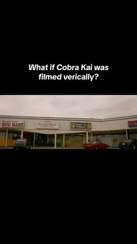 What if Cobra Kai (S1) was filmed vertically? #cobrakai #cobrakaiedit #photoshop #verticalfilm #verticalmovies #premierepro #corecore #fyp #cinematography #ai #movies 