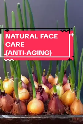 Use cornstarch and onions to look 10 years younger #skincare #antiwrinkle #naturalskincare #antiaging 