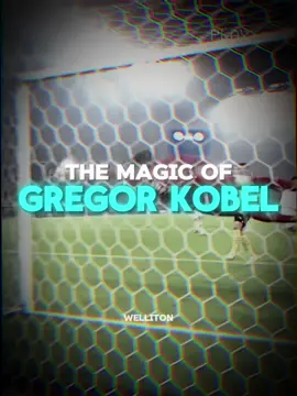 The Magic of Gregor Kobel, The Yellow Wall 🧱 | #theartofgoalkeeping #goalkeeper #gregorkobel #foryourpage 