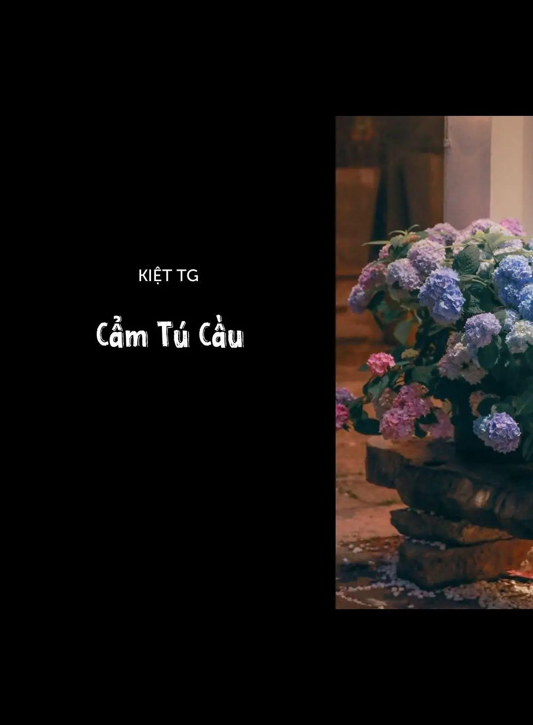 #tiktok #xuhuong #nhachaymoingay #fy #music #camxuc #fyp #nhachay #tt #