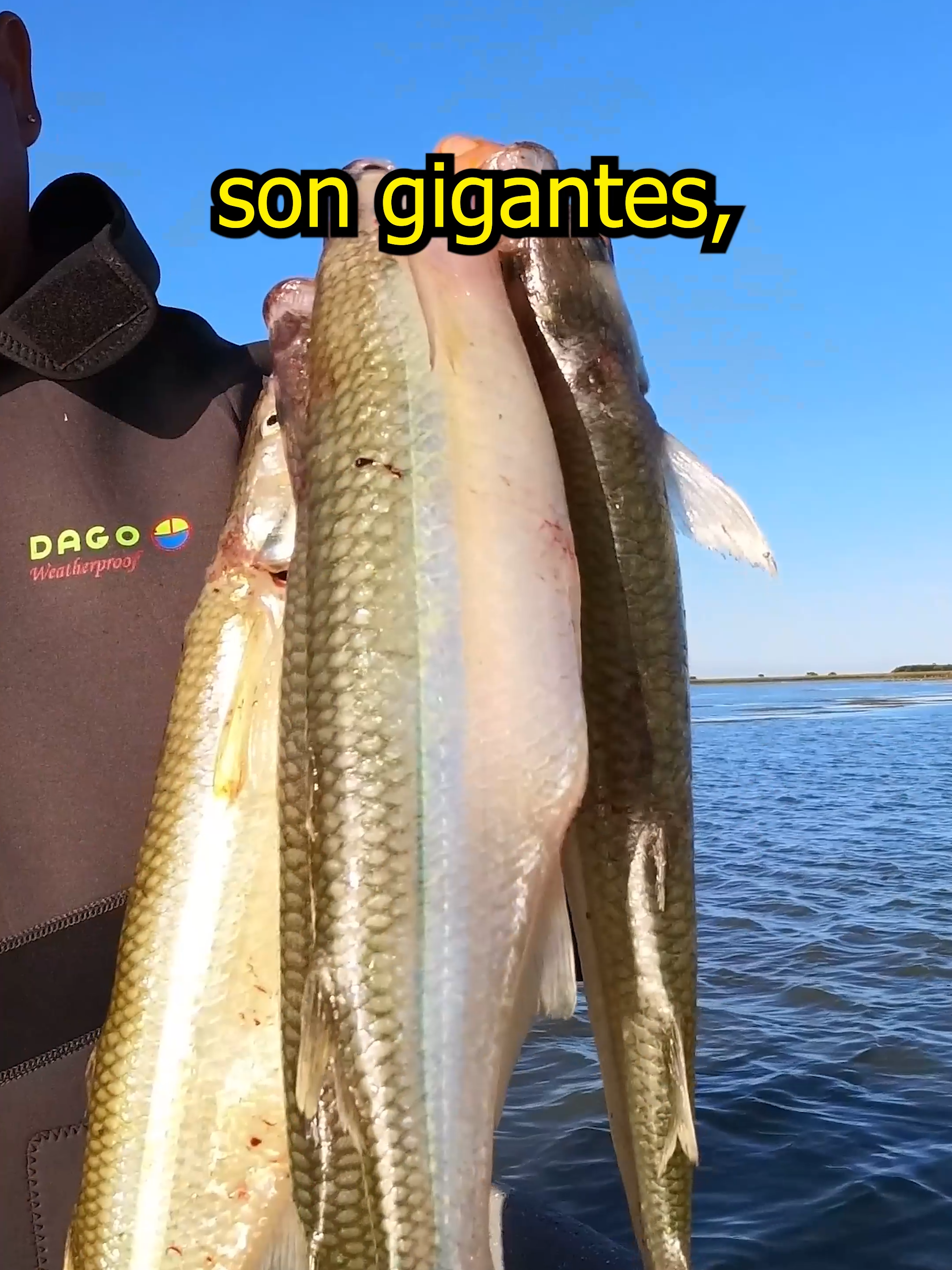 TE CANTO LA POSTA DE LA SALADA GRANDE DE MADARIAGA / Pesca de Pejerreyes grandes #fishing #pesca #pescaria