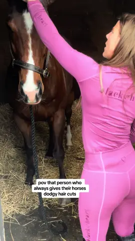 tag someone whos horse has this trim🤣 🥣 #fyp #pov #equestrian 