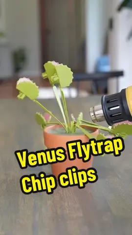 Venus Snacktrap? Link to the 3D files are at the link in my bio! #3dprinting #plants