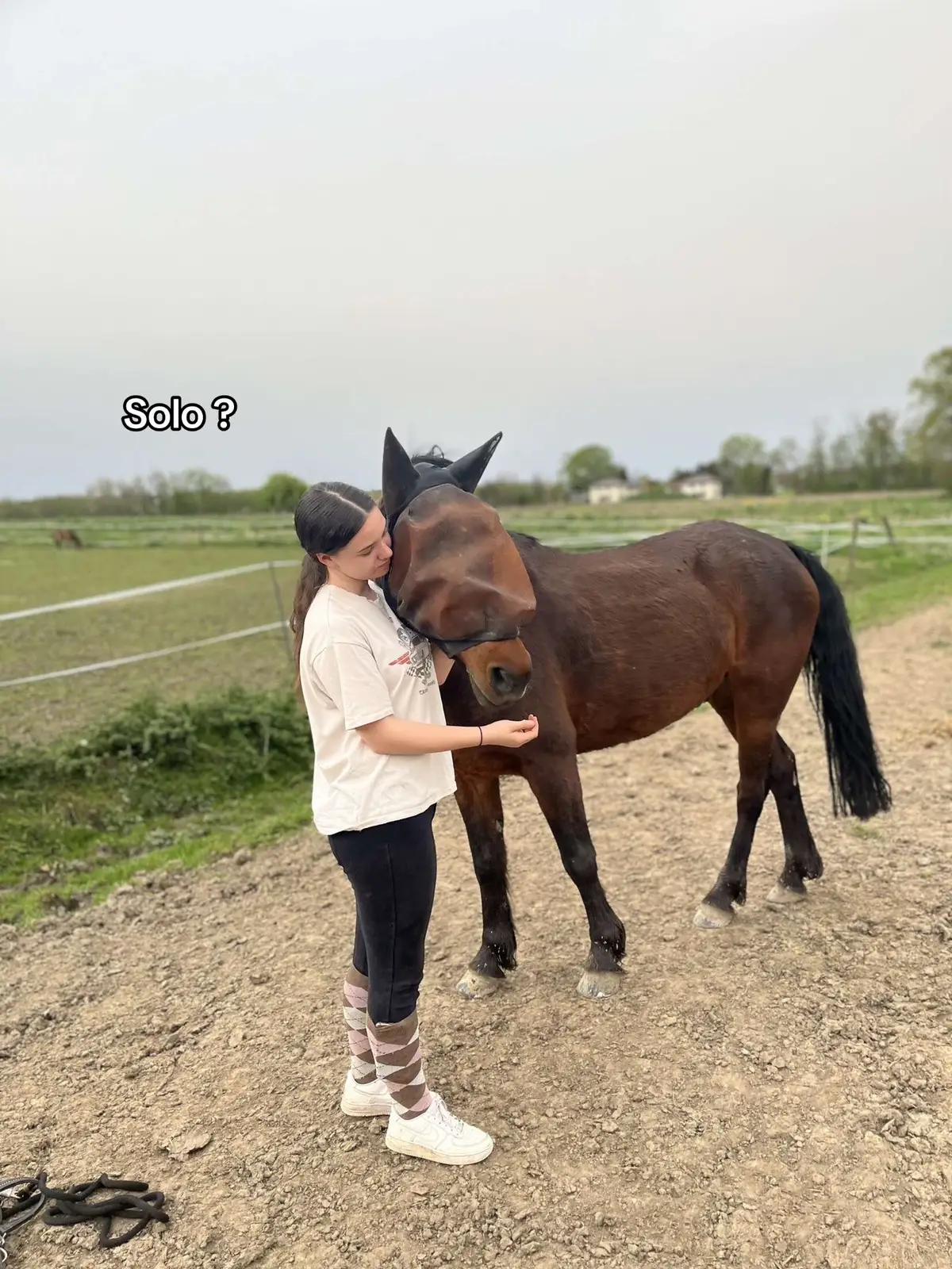 #pourtoi #equitation #fyp #cheval #shadow 