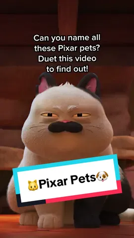 Happy #NationalPetDay! 🐾 🎥: Stream these and more on #DisneyPlus #Pixar 