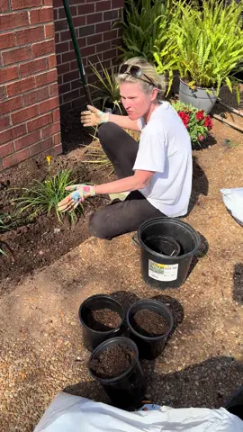 Mom making a mess!! #foryou #fyp #foryoupage #garden #gardening #spring #flowers #funny #entertainment #laughter 