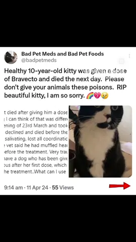 @badpetmeds X PLEASE READ MORE ON @badpetmeds on Twitter  @Supernaturalsammygal 💔