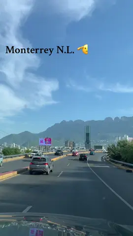 #parati #viral #saluditos #exito #trabjacion💯 #🌳🌍🌍 #reforestacion #algobellopalcamello🐫💵 #nuevoleon #monterrey 