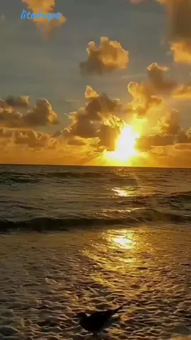 NATURALEZA, MAR Y PUESTA DE SOL #longervideos #music #paisajes #romantic #mar #puestadesol 
