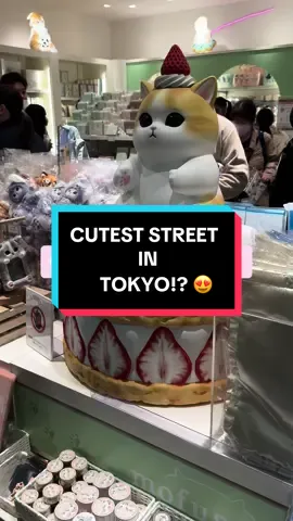 Tokyo’s Character Street is located in one of Tokyo’s busiest stations! If you love all things cute and adorable, you’ll definitely want to check this place out 🩷 Happy shopping!!! 🛍️😜 #kawaiiaesthetic #japantravel #tokyotravel #tokyo #shopping #ghibli #mofusand #rilakkuma #pokemon #japan #anime 
