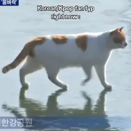 꽁꽁 얼어붙은 한강 위로 고양이가 걸어다닙니다 🔥🐈🔥🗣️🔥🗣️🧊🧊🔥🗣️🗣️🐈🔥🧊🔥🗣️🗣️🔥🐈 #꽁꽁_얼어붙은_한강위에_고양이가_걸어다닙니다 #cat #korean #kpop #kpopfyp #fyp #4u 