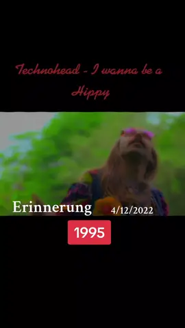 #erinnerung #technohead #iwannabeahippy #1995 #viral #fyp #deutschland 