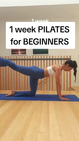 DAY 6  Full-body Sculpt Pilates  👉move slowly and with control  👉repeat the sequence 2/3 times  #pilates #pilatesinstructor 