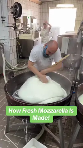 How Fresh Mozzarella Is Made! 🧀 (@weare.peache) #exploringitaly #italy #italia #mozzarella #cheese #howitsmade #howto #howtomake #italianfood 
