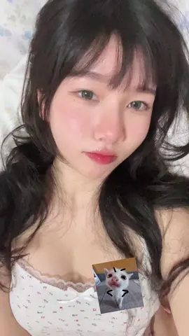 ไปไหนป่าว
