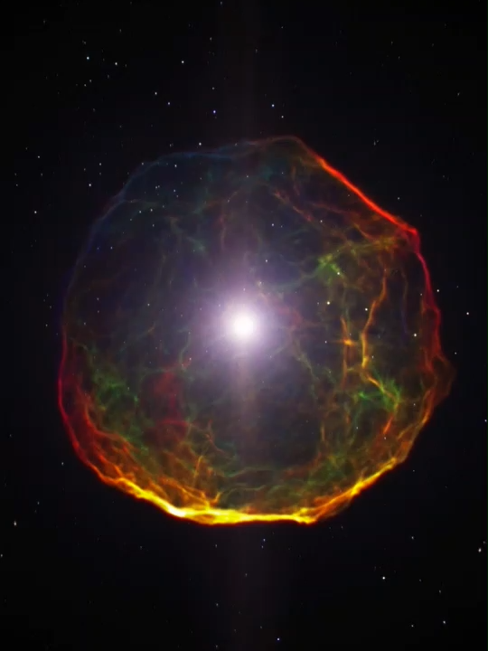 Supernova Explosion ! In this cool animation from NASA, we can see a supernova—the spectacular event at the end of  the lifetime of a star that is at least eight times larger than our Sun. As shifting pressures within its core trigger a collapse, the star explodes in a brilliant supernova, one of the universe's largest explosions. Although such events are rare in the Milky Way, with the last one observed by Johannes Kepler in 1604, they are frequently spotted in other galaxies through powerful telescopes like NASA's Chandra X-ray Observatory. The initial flash of light from a supernova can outshine its host galaxy and may last only seconds, but it marks the beginning of a phenomenon that can be studied for millennia. The debris flung into space by the explosion is rich in elements like carbon and oxygen—essential ingredients for life as we know it. This animation not only captures the explosion's stunning brightness but also follows the evolving cloud of material that continues to enrich the cosmic environment long after the initial flash has faded. Watch the video to see the dramatic life-ending event of a star and the beginning of new cosmic possibilities. Credit:  NASA's Goddard Space Flight Center Video courtesy of ESA/Hubble/L. Calcada Link: https://svs.gsfc.nasa.gov/11447/ #space  #universe  #supernova  #nasa  #science  #astronomy  #viral