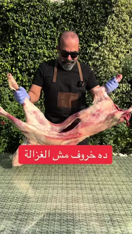 #البروفيسور_حسام_ابو_العطا #تجميل #جراح 