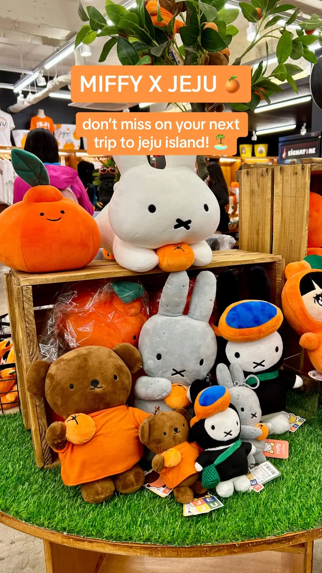 #miffy #miffyandfriends #jeju #jejuisland #jejudo #korea #koreatrip #giftshop #souvenir #plushies #cute 