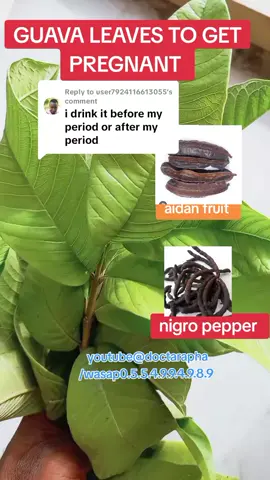Replying to @user7924116613055 #guavaleaf #aidanfruit #fypシ゚viral #foryoupage #foryou #viral #ghana #doctarapha 