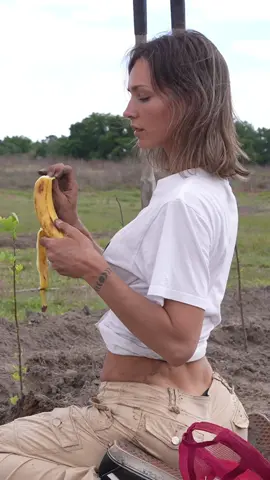 First agroforestry system be like 😜 JK but not really 😂 #agroforestry#foodforest#planting#bananas#farmlife  