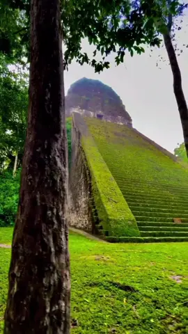 Parque Nacional Tikal, Petén, Guatemala 😍🇬🇹❤️ #tikal #tikalguatemala🇬🇹 #tikalpeten #tikalpetenguatemala🇬🇹🥰🥰 #peten #petenguatemala🇬🇹 #petenguatemala #petenerosde❤🇬🇹👈 #guate #guatemala #guatemala🇬🇹 #guatemala🇬🇹viral #guatemalacheck #guatemalalinda #guatemalatiktok #guatemala🇬🇹🇬🇹 #guatemala🇬🇹viral🇬🇹🥰😍 #mibellaguatemala #guate502 #guate502🇬🇹gt #502🇬🇹 #chapines502🇬🇹 #chapinaenusa🇬🇹🇺🇸 