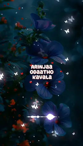 Mayilaanji mayilaanji#aveeplayer #tamillyrics #flypシ #trending #foryou #viral #like #tamil #foryoupage #vairal 