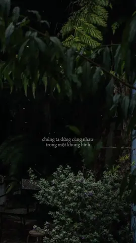 Tấm ảnh năm ấy chúng ta chụp cùng nhau… #chuối🎶 
