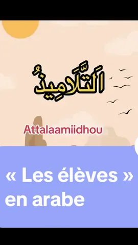 Arabe pour débutants  Vocabulaire  #LIVEhighlights #TikTokLIVE #LIVE #languearabe #arabic #apprendresurtiktok #foryouu #languearabegratuit #pourtoi #vocabulaire #grammaire #alphabet #solaire #lunaire  @تَعَلَّم Apprends l’arabe  @تَعَلَّم Apprends l’arabe  @تَعَلَّم Apprends l’arabe 