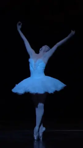 Natalia Osipova as the Dying Swan / The Carnival of the Animals #NataliaOsipova #DyingSwan #CarnivalOfTheAnimals #BalletTok #BalletCore #RoyalBallet #Dance #RoyalOperaHouse #Dancing #Dancer #BalletDancer #Ballerina #Ballet #FemaleVariation #BalletVariation #Variation #StageArtistry #BalletPerformance #ClassicalBallet #BalletWorld #PointeWork #BalletBeauty #DanceExcellence #BalletLife #PerformanceArt #DancePassion #BalletTechnique #BalletMagic #ElegantDance #BalletPassion