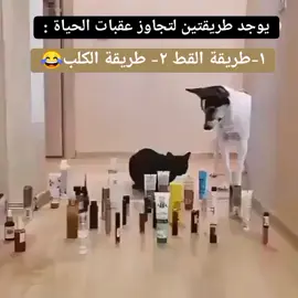 😂😂 #fyp #parati #اكسبلورexplore 