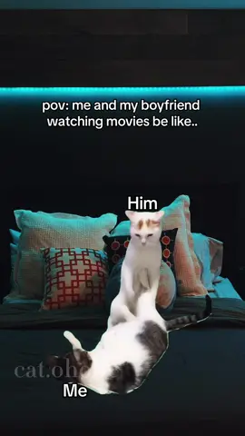 Relatable? 😂😅 (love4infiny) #cat #cats #meme #catvideos #funny #catmeme #relationshipmemes #couplememes 