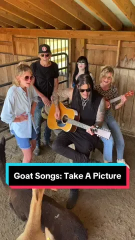 A rare sighting of us actually getting the alpacas’ attention. #TakeaPicture #FilterBand #goatsongs 
