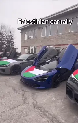#fromrivertoseapalestinewilbefree🇵🇸❤ #viralvideo #palestineفلسطين_بيت_لحم_القدس_ #rallycar 
