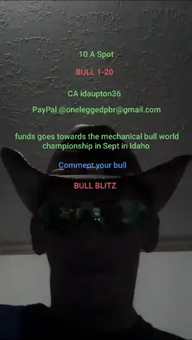 BULL BLITZ PICK YOUR BULL @Melissa Hitchens @katiecat_007 @🌺🐇AliceNLace🐇🌺 