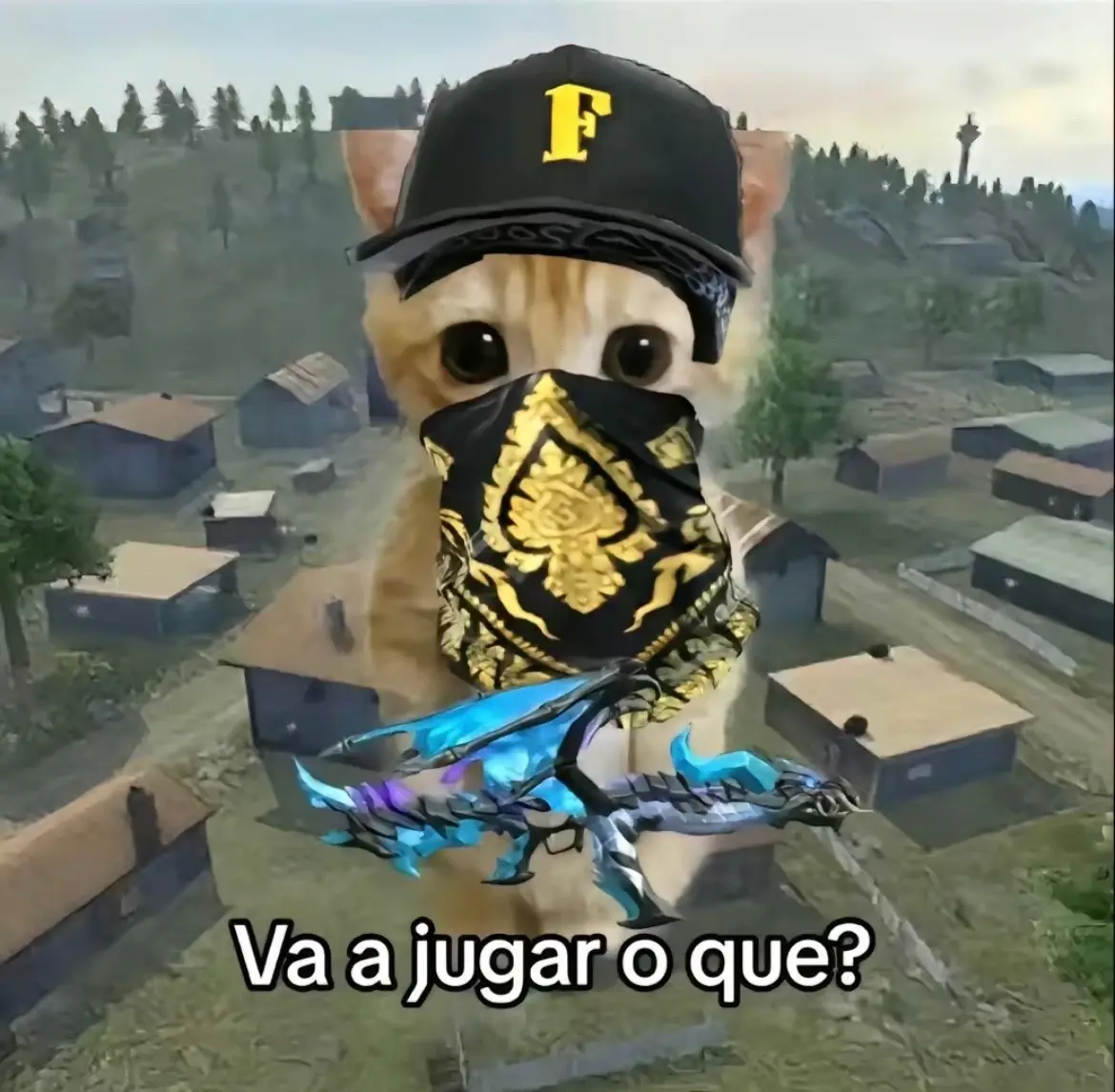 Etiqueta a tu compa para bajar puntos #vaajugaroque #mrstiven #ff #garena #bro #compas #amigos #panas #freefire #latam #duos #diversion #juegos #clanackerman #soyjeager #humor 
