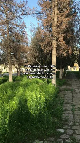 🤍#gəncəm #keşfet #oliqarx #fyp #gencemiz #gəncəli #gəncə #videotutsun #genceli 