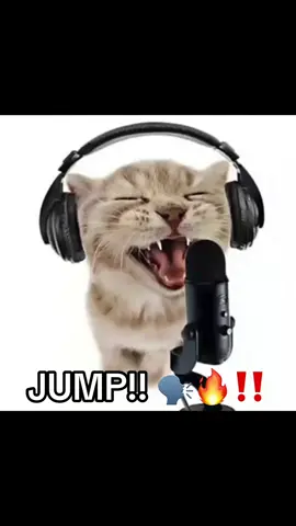 BOUNCE!! 🗣️🔥‼️ #fyp #systemofadown #soad #Meme #cat 