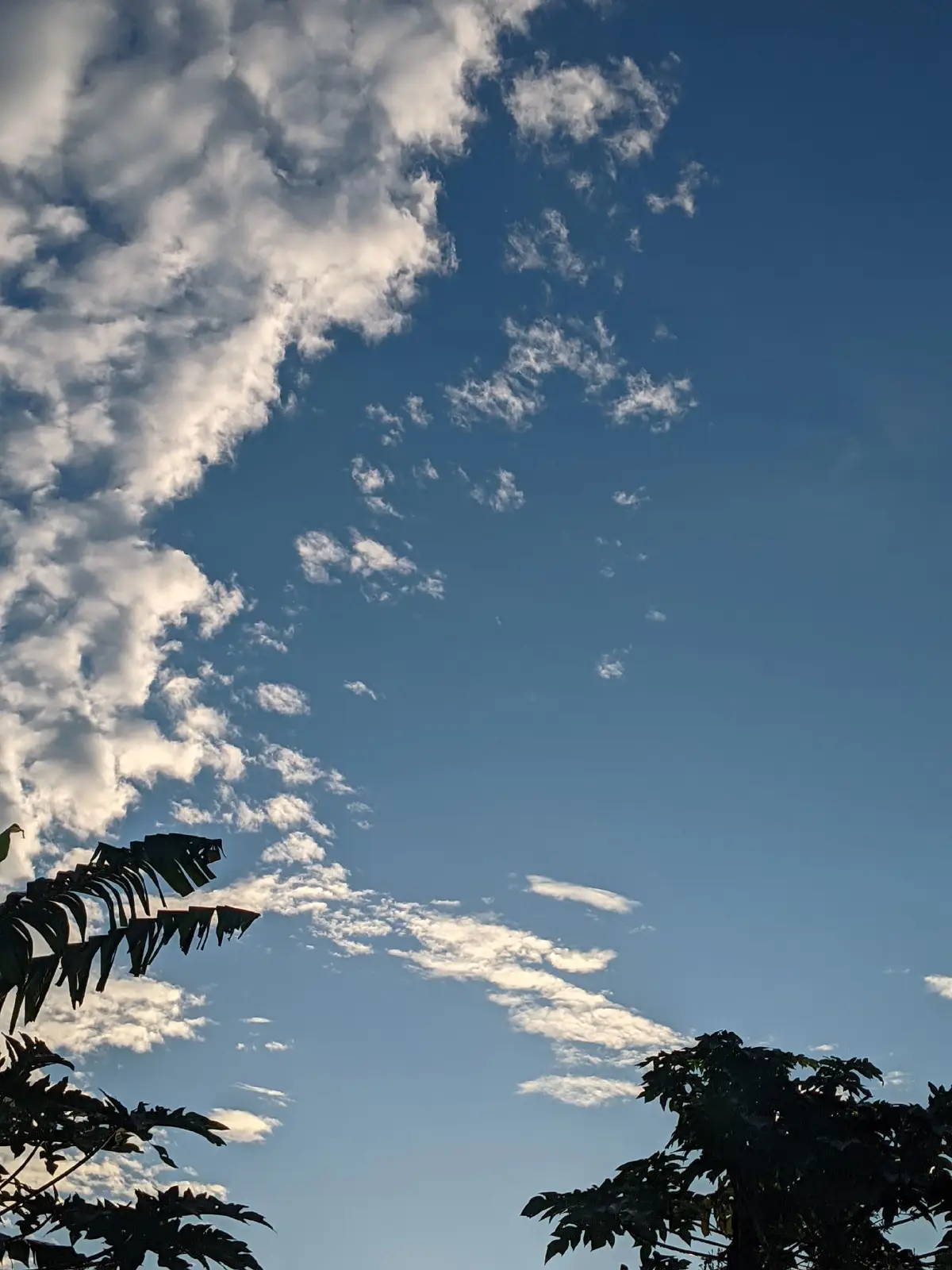 #langit #sky #langitaesthetic #fotogeser #indah #morning #fyp #cloud #masukberanda 