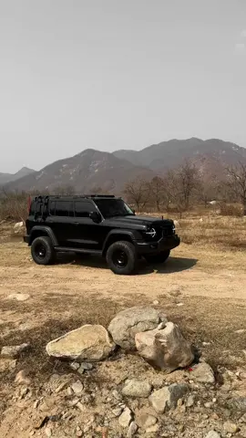 #tank300