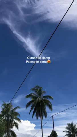 #fyppppp #fypp 