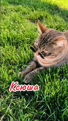#ксюша #оксана #ксюха #деньангела 