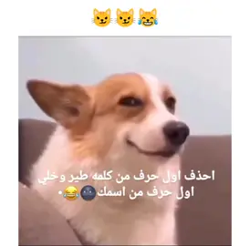احذف اول حرف من اسمك #ميمز عراقي مضحك جدا#ميمز ضحك#ميمز عراقي #تحشيش_عراقي_للضحك #تحشيش_عراقي_للضحك_اكسبلورر 
