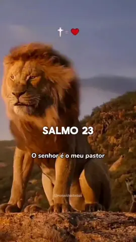 Salmo 23#reflexão #oração #louvor #hashtag #motivacional #amor #superação 