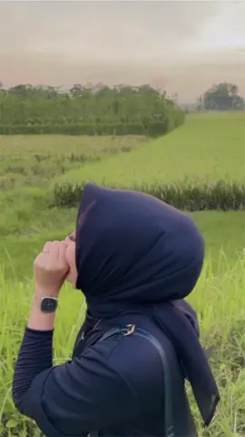 Aslinya mana mas?